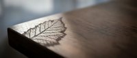 Delicate leaf skeleton casting intricate shadow on wooden surface, showcasing natural light interplay and organic texture details for design projects.