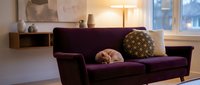 Modern living room interior with deep purple velvet sofa, decorative pillows, floor lamp, and city view through large windows for home decor and design projects.