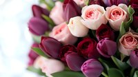 Fresh bouquet combining pink roses and deep purple tulips with soft green foliage creates romantic floral arrangement against light background. Suitable for wedding and celebration designs.