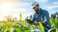 Caucasian male farmer in hardhat using digital tablet for crop monitoring in corn field during sunrise, modern agriculture technology and smart farming concept.