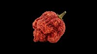 Dried red hot chili pepper isolated on transparent background, ready for t-shirt design, stickers, clipart, print on demand, and sublimation projects.