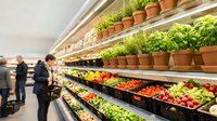 Fresh organic vegetables and herbs displayed on wooden shelves in modern grocery store produce section with shoppers browsing healthy food options.