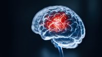 Glowing red area in translucent blue human brain model showing neural activity and inflammation. Medical visualization for healthcare presentations and educational materials.