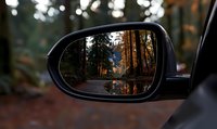 Forest road reflection in car side mirror during golden sunset hour, pine trees and sunlight creating atmospheric outdoor scene through rearview mirror.