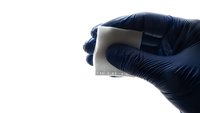 Medical professional in blue nitrile gloves holding microscope slide for laboratory analysis and diagnostic testing on white background.