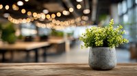 Green plant in concrete pot on wooden table with blurred modern cafe interior and string lights in background. Cozy workspace atmosphere.