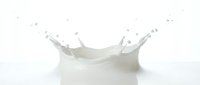 White milk splash creating crown shape with droplets on clean background for dairy product advertising and beverage marketing campaigns.