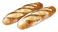 Fresh crusty baguettes with golden brown crust and distinctive scoring pattern on white background, watercolor style illustration for food packaging and menu design.