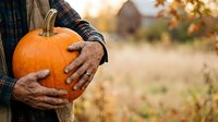 Farmer holding fresh orange pumpkin in autumn field during harvest season. Suitable for fall agriculture, farming, and seasonal marketing materials.