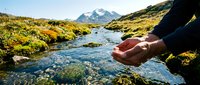 Hiker cupping fresh mountain stream water in hands with snow-capped peaks and alpine meadows in background during golden hour outdoor adventure.