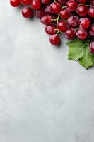 Fresh red grape cluster with green leaf on light gray concrete background. Corner composition with copy space for menu, recipe or wine list design.