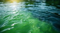 Emerald green ocean water surface with sunlight reflections and gentle ripples creating dynamic patterns and natural bokeh effect in summer sunlight.