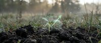 Young seedling sprouting from rich soil with upward growth arrow overlay, symbolizing business expansion, agricultural success, and sustainable development for startups and environmental concepts.