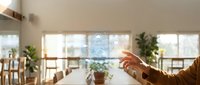 Young adult male with medium skin tone reaching toward potted plant on bright windowsill in modern home interior with natural light and greenery for lifestyle and wellness content.