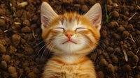 Smiling ginger kitten with closed eyes lying on brown soil, expressing happiness and contentment. Natural outdoor pet photography showing joyful feline emotion.