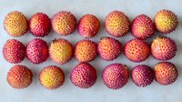 Fresh ripe lychee fruits arranged in neat rows on white background, showing vibrant pink and yellow colors and distinctive bumpy texture of tropical fruit shells.