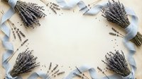 Dried lavender bundles with gray ribbons arranged in decorative frame on white wooden background with scattered flowers creating natural border for text space.