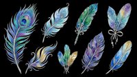 Colorful watercolor feather clipart set isolated on transparent background, featuring peacock and decorative plumes for stickers, t-shirt design, and print on demand.