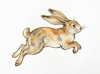 Jumping rabbit with tan and brown fur isolated on transparent background, ready for t-shirt design, clipart, stickers, sublimation and print-on-demand projects.
