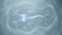 Glowing neuron cell with branching dendrites transmitting electrical signals through neural network connections for medical and scientific research applications.