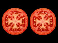 Two fresh tomato slices isolated on transparent background, ready for culinary designs, recipe graphics, food packaging, print-on-demand products, and kitchen-themed digital projects.