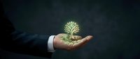 Businessman hand holding glowing green tree symbol representing growth, sustainability and environmental responsibility in corporate business concept.