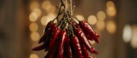 Dried red chili peppers hanging in bundle with warm bokeh lights background for culinary cooking spice seasoning kitchen decor restaurant menu design.