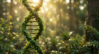 Green moss-covered DNA double helix structure in sunlit forest environment symbolizing natural genetics and biotechnology connection with organic growth.