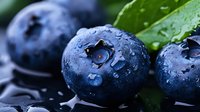 Fresh ripe blueberries with water droplets and green leaves on dark surface. Healthy organic superfood for nutrition and wellness concepts.