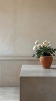 Cream roses in terracotta pot on concrete bench against neutral wall, creating minimalist composition with soft natural lighting and muted earth tones.