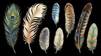 Feather collection featuring peacock, cream, spotted, striped and patterned plumes isolated on transparent background. Ready for t-shirt design, clipart, stickers, sublimation and print-on-demand projects.