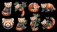 Red panda isolated on transparent background, ready for t-shirt design, clipart, stickers, sublimation and print-on-demand products. Multiple poses included.