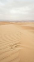 Footprints in golden sand dunes under cloudy sky creating peaceful desert landscape with natural textures and patterns for travel and nature concepts.