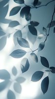 Delicate leaf shadows cast on light blue wall create ethereal natural pattern with soft gradient lighting and elegant botanical silhouettes.