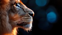 Majestic lion profile against dark background with dramatic lighting highlighting golden fur and piercing blue eyes, creating powerful wildlife portrait.