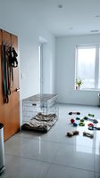 Organized pet care room with metal crate, leashes on wooden wall organizer, toys scattered on polished floor, bright window, and minimalist decor for training.