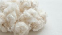 Soft white cotton balls texture background with fluffy natural fibers for skincare and beauty applications.