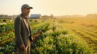 Mature male farmer in cap and work jacket standing in expansive green crop field at golden hour sunset, surveying agricultural land with livestock grazing in background.