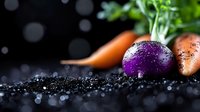Fresh purple turnip and orange carrots with green tops on dark soil background with water drops, dramatic lighting for food photography and agriculture.