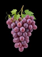 Red grape bunch with green leaves isolated on transparent background, ready for clipart, t-shirt design, stickers, print-on-demand products, and sublimation projects.
