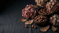Autumn still life with hazelnuts in wooden bowls, dried hydrangea flowers and oak leaves on dark background for seasonal cooking and harvest themes.