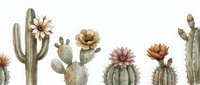 Watercolor cacti collection with blooming flowers on white background, isolated botanical art for prints, cards, and home decor projects.