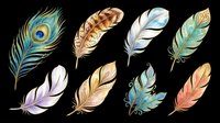 Colorful decorative feathers set isolated on transparent background, ready for stickers, t-shirt design, sublimation, clipart, and print on demand projects.