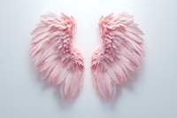 Delicate pink angel wings made of soft feathers arranged symmetrically on light background, creating ethereal and romantic composition for spiritual and decorative designs.