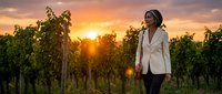 Young professional woman walking through vineyard rows at golden hour sunset, wine industry business concept for agriculture and tourism marketing.