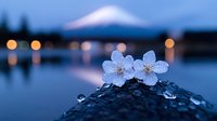 Delicate white cherry blossoms with water drops against blurred Mount Fuji silhouette at dusk, reflecting in calm lake waters with soft bokeh lights in background.