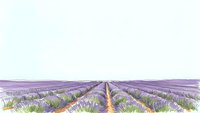 Lavender field rows stretching to horizon under cloudy sky, purple flowers in bloom creating scenic agricultural landscape for relaxation and aromatherapy concepts.