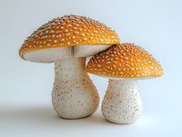 Two orange spotted mushrooms with white stems isolated on white background for nature design projects and botanical illustrations.