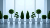 Modern office interior with decorative potted plants arranged along floor-to-ceiling windows creating natural workspace ambiance for corporate environments.
