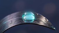Water droplet on feather surface with macro photography showing natural texture and blue reflections for nature and purity concepts.